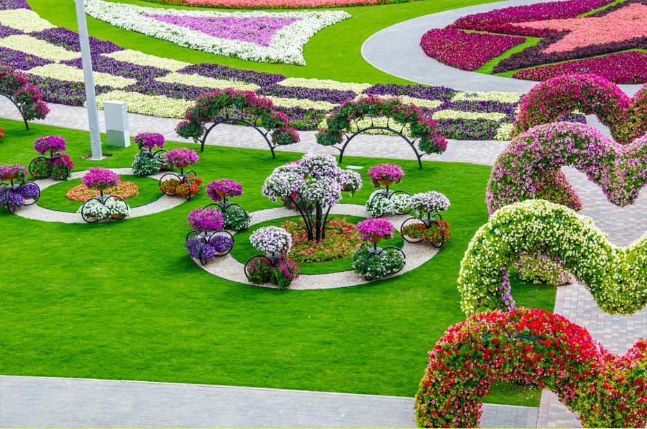 Dubai Miracle Garden-The most Attractive Garden in the World