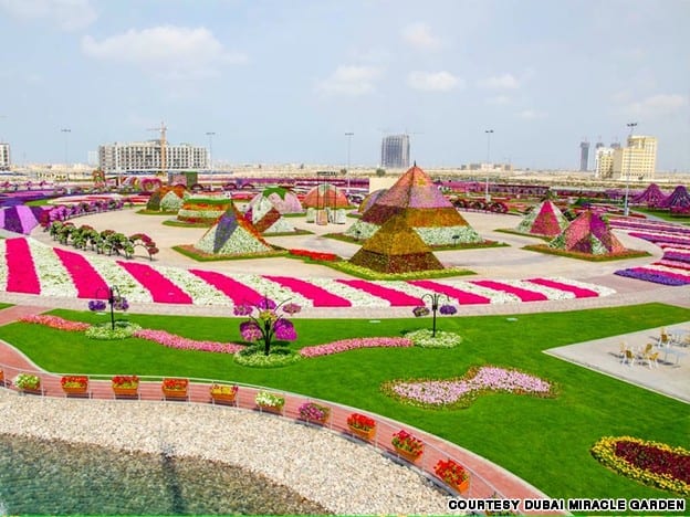 Dubai Miracle Garden