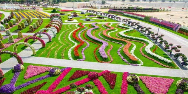 Dubai Miracle Garden-The most Attractive Garden in the World