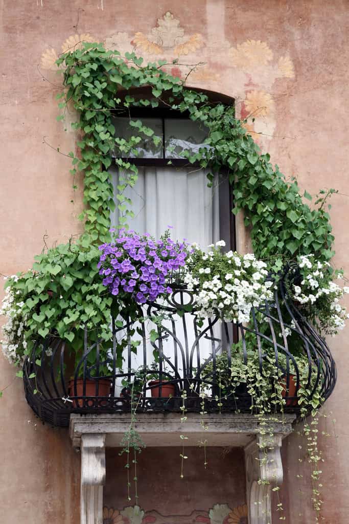 25 Charming Balcony Gardens 1