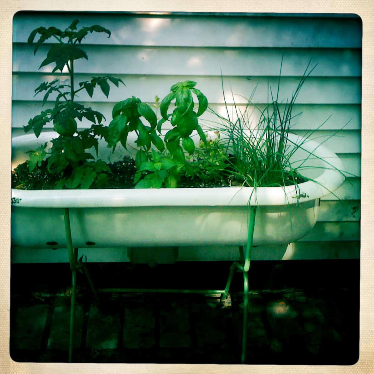 1. Use your old mini bathtub as a garden pot. 1