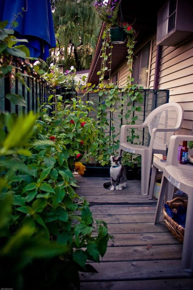 25 Charming Balcony Gardens 18