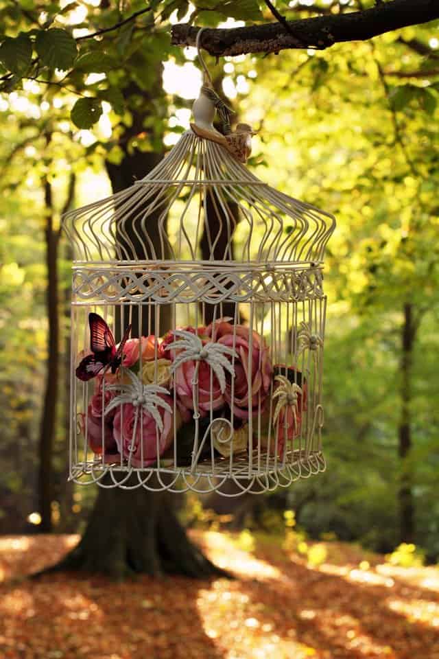 20 Lovely Repurposed Bird Cages