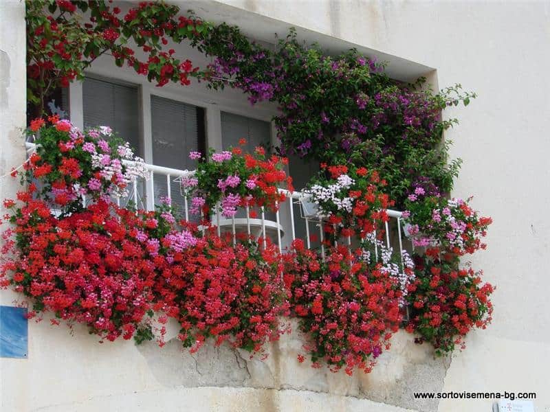 25 Charming Balcony Gardens 25