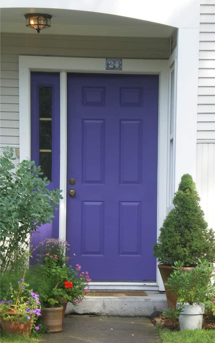 tall narrow front door deep color modern entryway