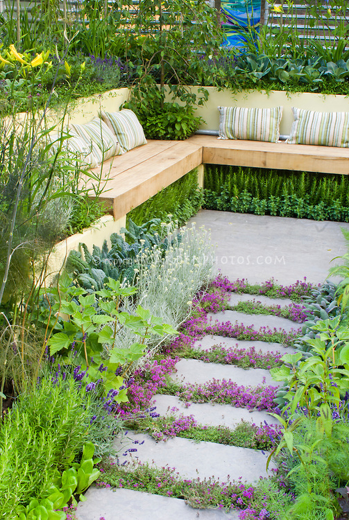 Stepping stone thymes in patio with garden benches