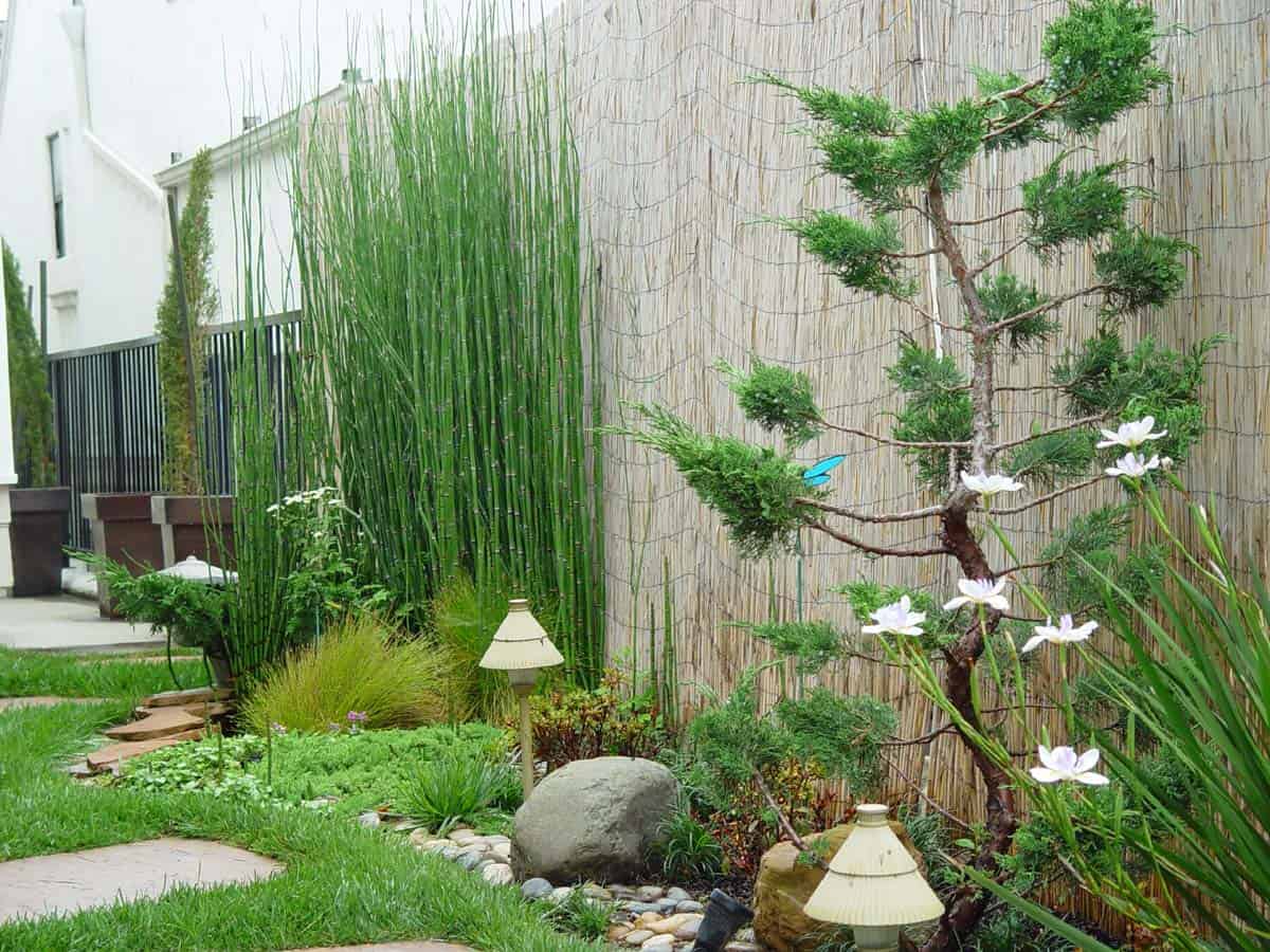 30 Magical Zen Gardens 29