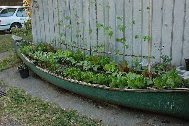 4. Make small garden in your old canoe. 4