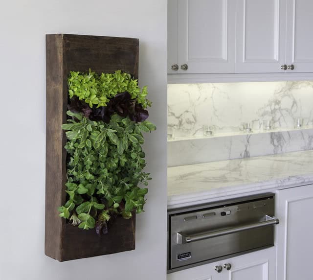 25 Wonderful Mini Indoor Gardening Ideas brightgreenusa._com
