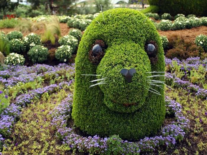 22 Marvelous Grass Sculptures friendstamilchat._com_forum_