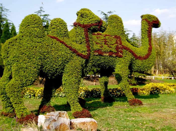 22 Marvelous Grass Sculptures smsread._com_blog_plant-art._html