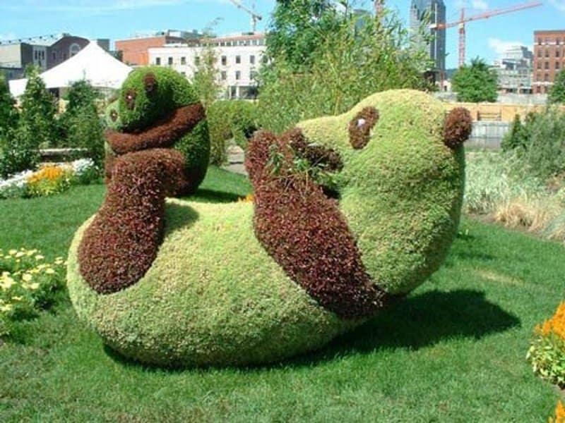 22 Marvelous Grass Sculptures taringa._net_posts_arte_9971028_Esculturas-Hechas-en-plantas._html