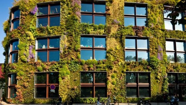 30 Incredible Green Walls