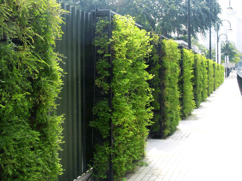 30 Incredible Green Walls 13