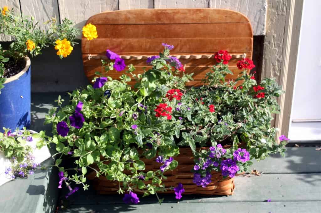 30 Fascinating Low-Budget DIY Garden Pots 15