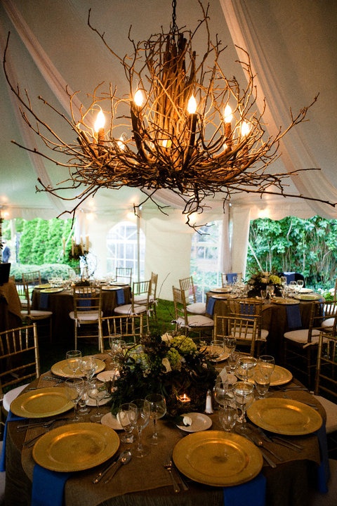 25 Amazing DIY Branches Chandeliers