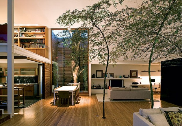 18 Incredible Houses with Trees in them