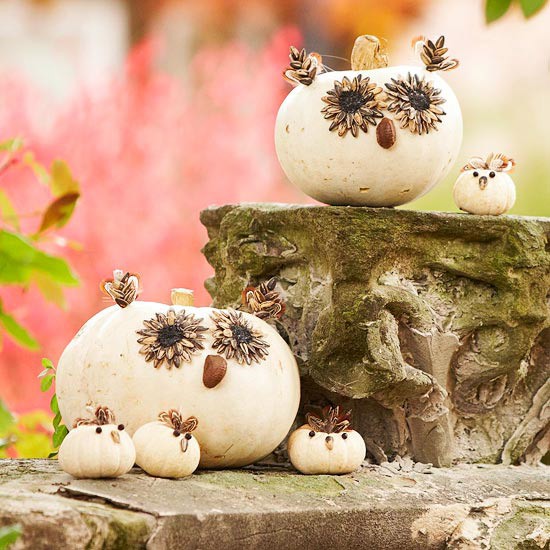 40 Creative DIY Pumpkin Designs