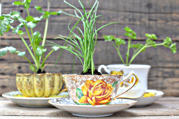 30 Fascinating Low-Budget DIY Garden Pots