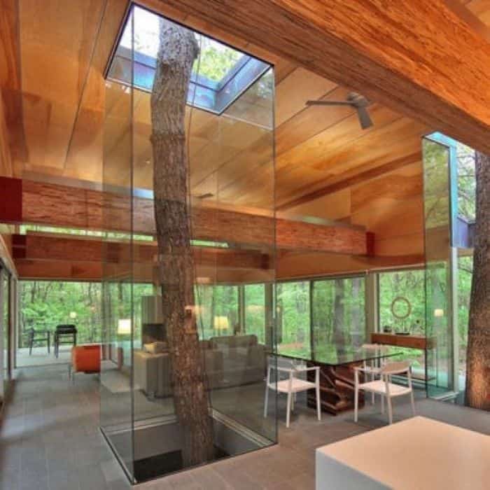 18 Incredible Houses with Trees in them 3