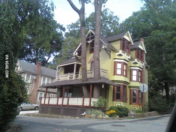 18 Incredible Houses with Trees in them 5