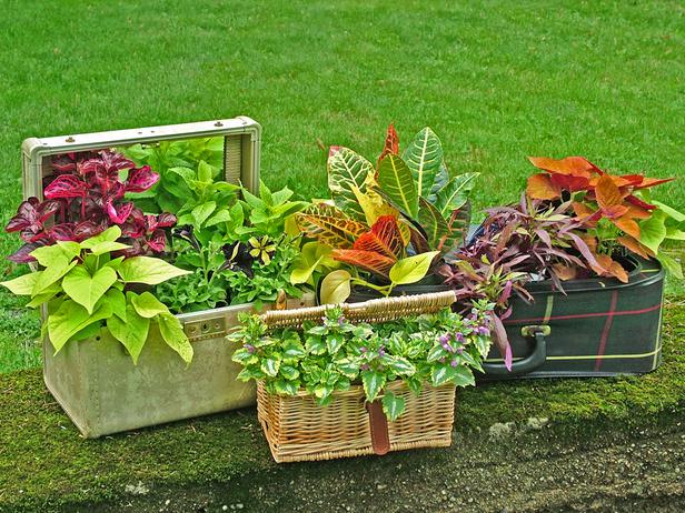 Beautiful & Functional Farmhouse Garden Decor Ideas – Shugar Plums Gift  Store