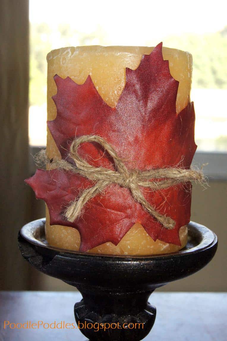 25 Adorable DIY Autumn Inspired Decoration Ideas with Leaves SONY DSC