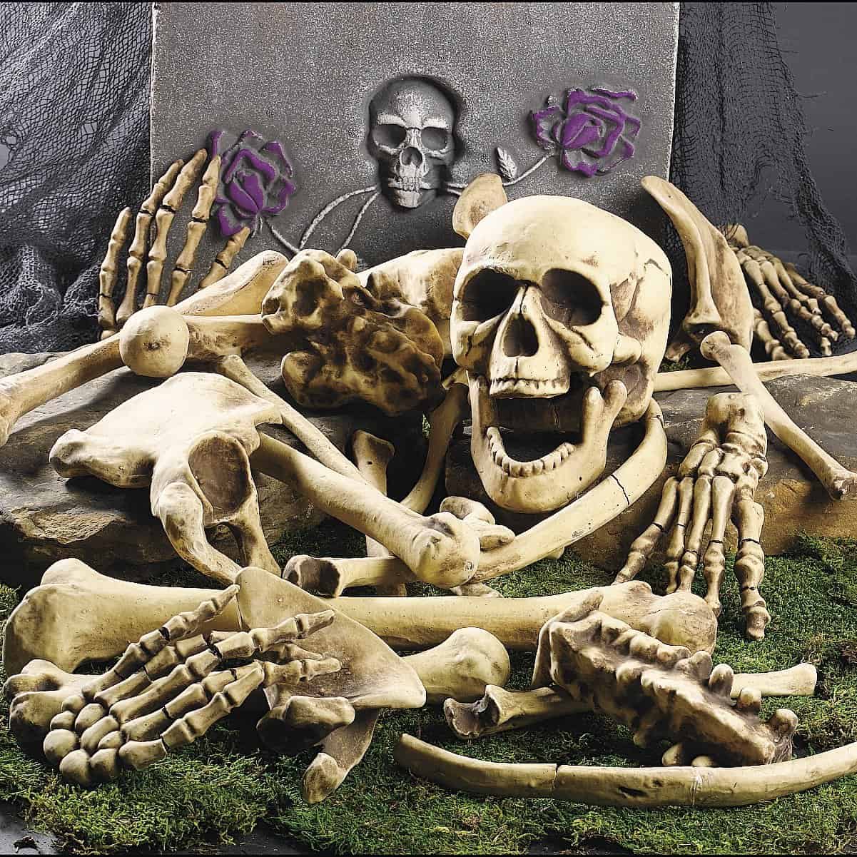 DELUXE HALLOWEEN BAG OF SKELETON BONES – FULL 28 PIECE SET 18 Absolutely Frightening Outdoor Halloween Decorations (1)