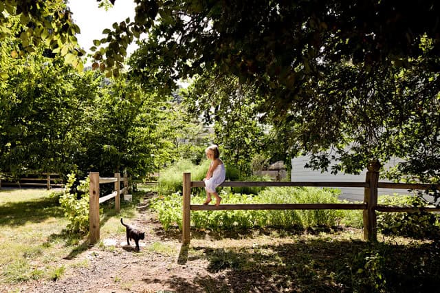 26 Adorable Wooden Fences For Your Yard 26