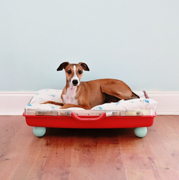 24 Creative DIY Ideas For Pet Beds And Feeders