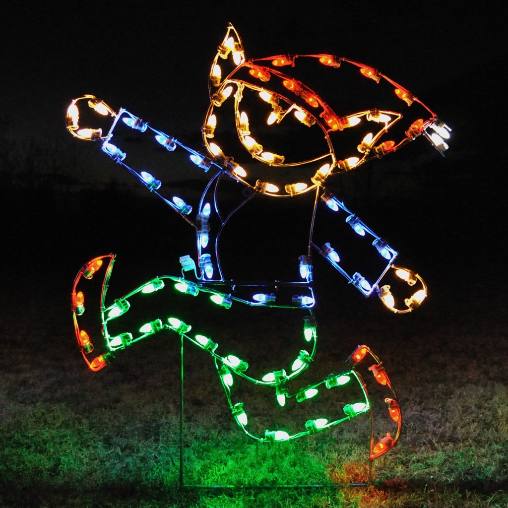 Christmas Lights Outdoor Amazon 2023 Best Top Awesome Review of ...