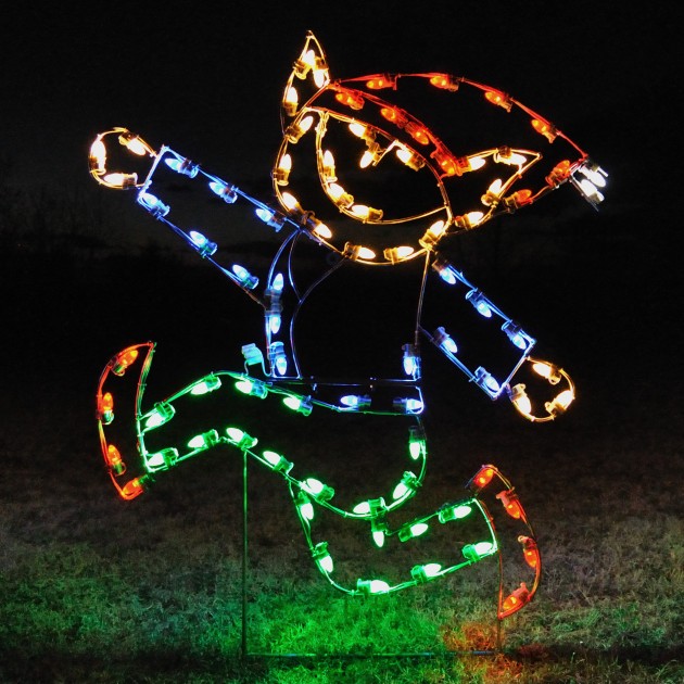 A Large Collection of Outdoor Christmas Light Displays