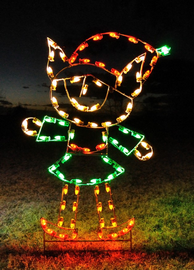 A Large Collection of Outdoor Christmas Light Displays (11)