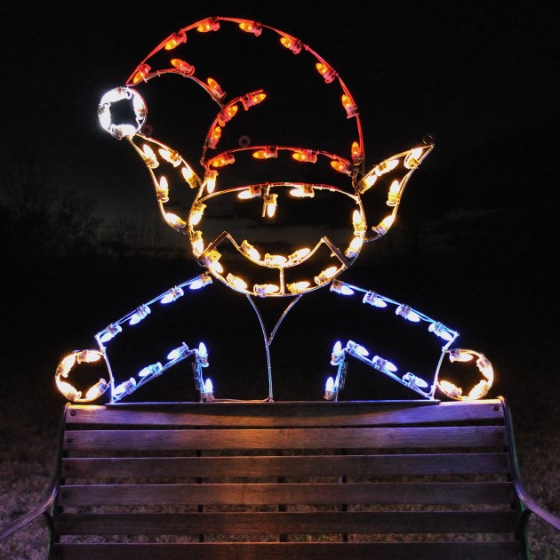 A Large Collection of Outdoor Christmas Light Displays (14)