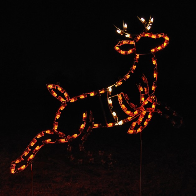 A Large Collection of Outdoor Christmas Light Displays (21)