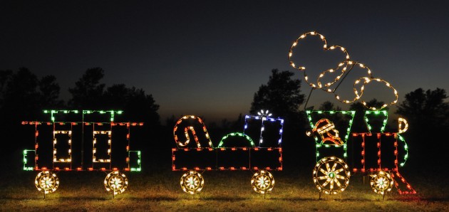 A Large Collection of Outdoor Christmas Light Displays