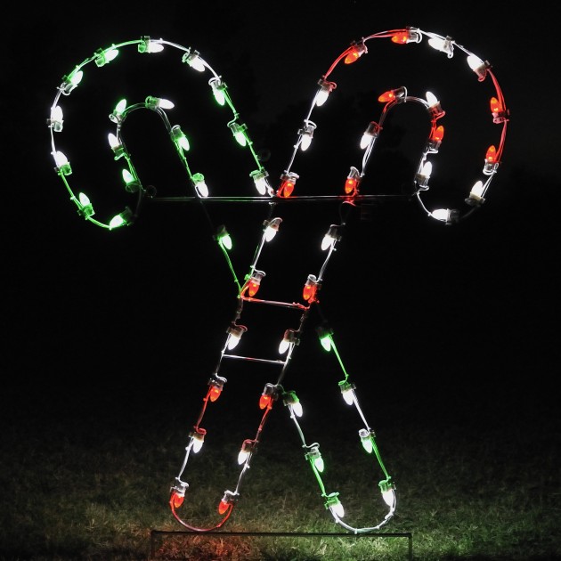 A Large Collection of Outdoor Christmas Light Displays (25)