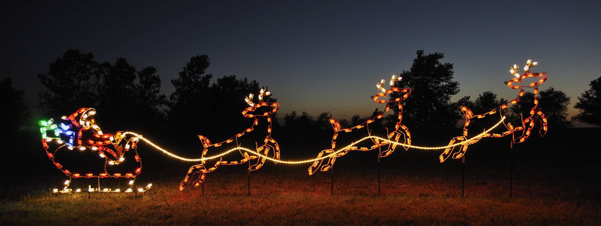 Small Reindeer Light Set A Large Collection of Outdoor Christmas Light Displays (28)