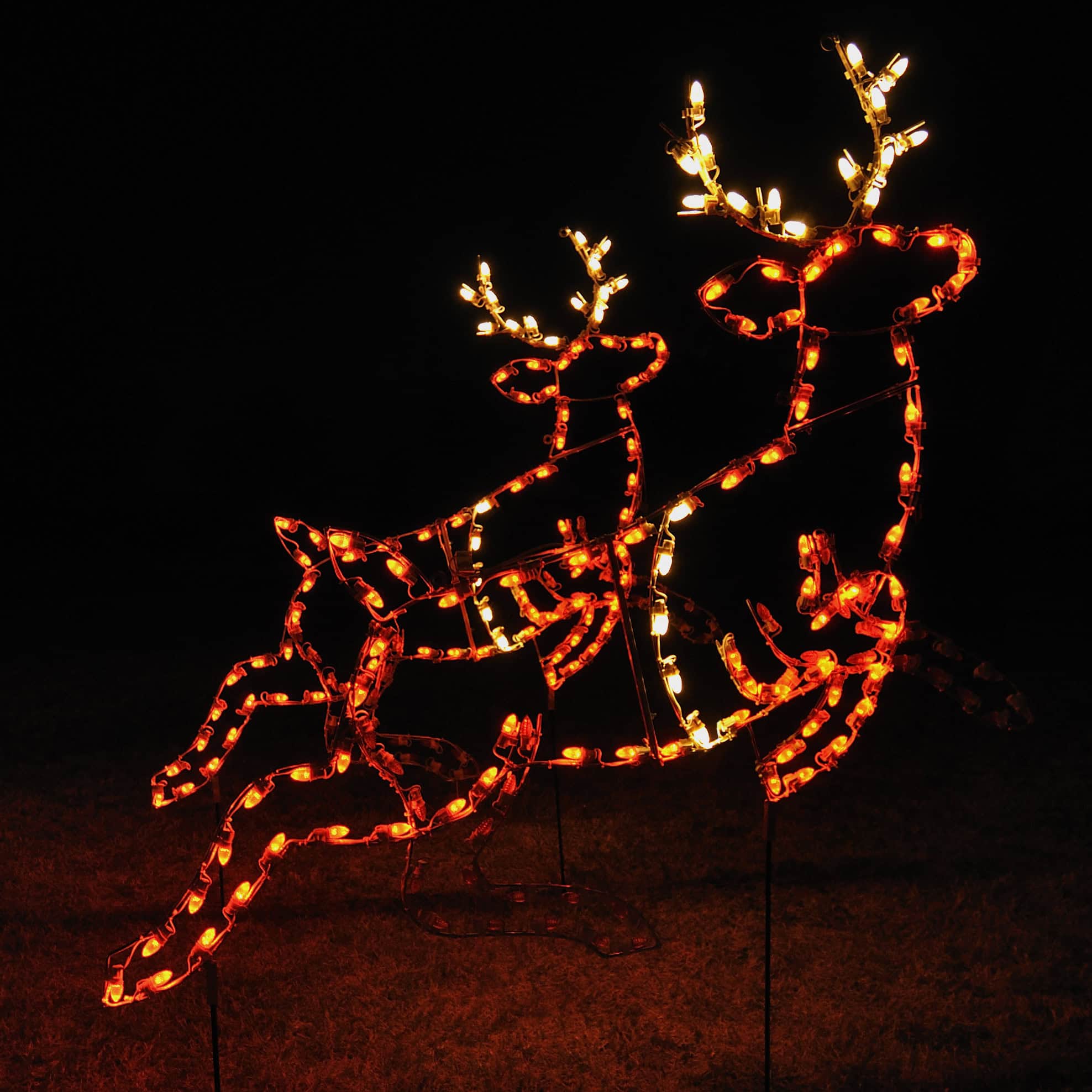 Animated Reindeer Light A Large Collection of Outdoor Christmas Light Displays (30)