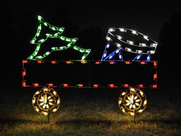 A Large Collection of Outdoor Christmas Light Displays (5)