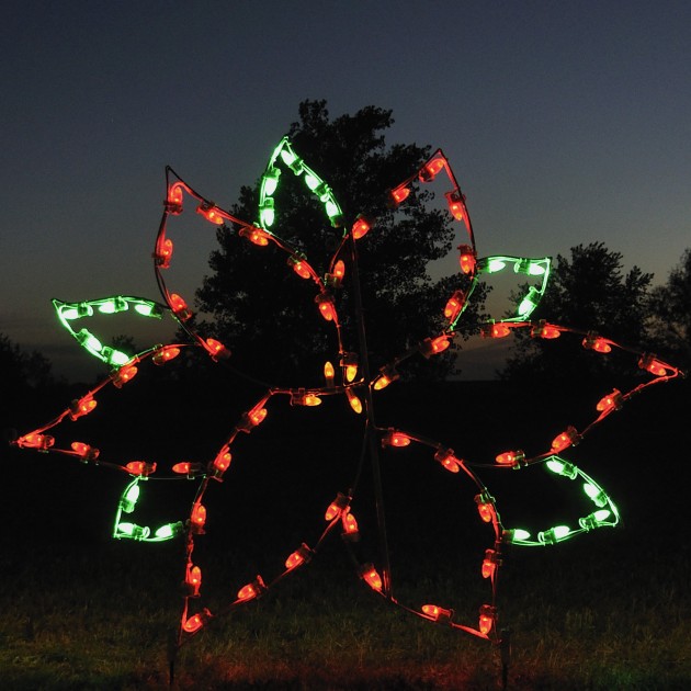 A Large Collection of Outdoor Christmas Light Displays