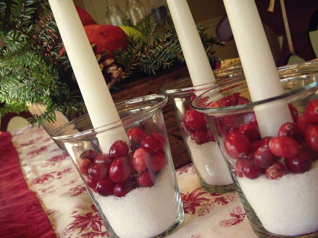 28 Brilliant DIY Cranberries Décor Ideas 10