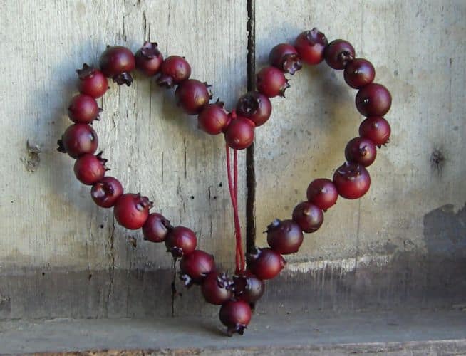 28 Brilliant DIY Cranberries Décor Ideas Digital StillCamera