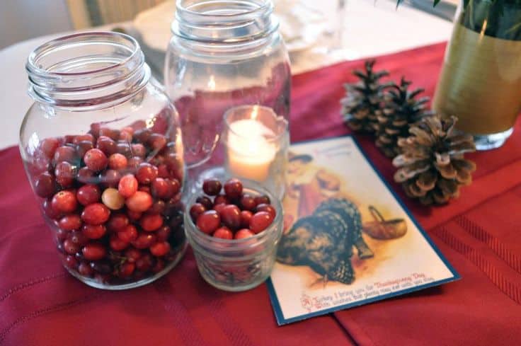 28 Brilliant DIY Cranberries Décor Ideas 13