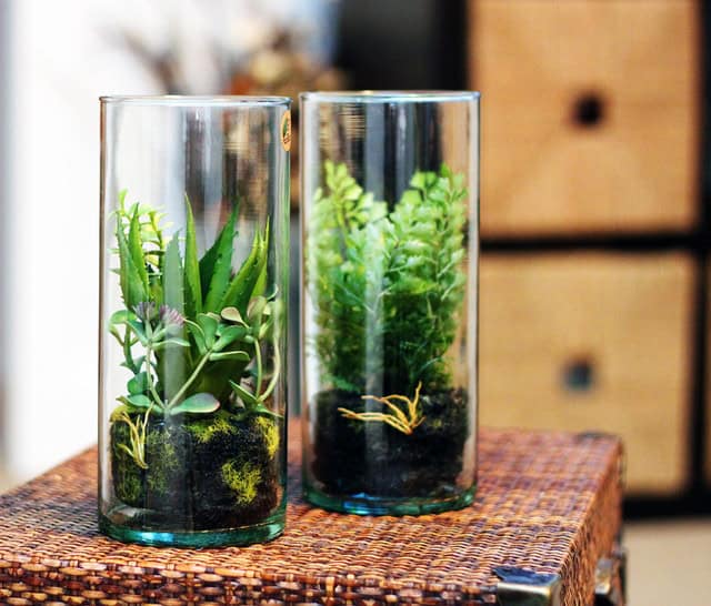 23 Great Ideas To Freshen Up Your Home With Mini Terrarium 15