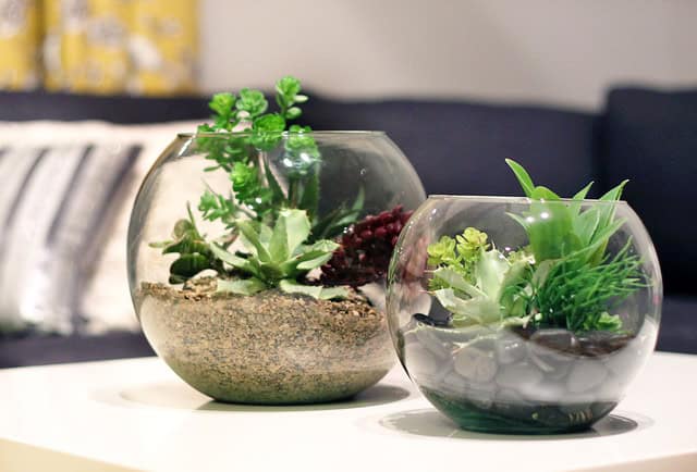23 Great Ideas To Freshen Up Your Home With Mini Terrarium 18