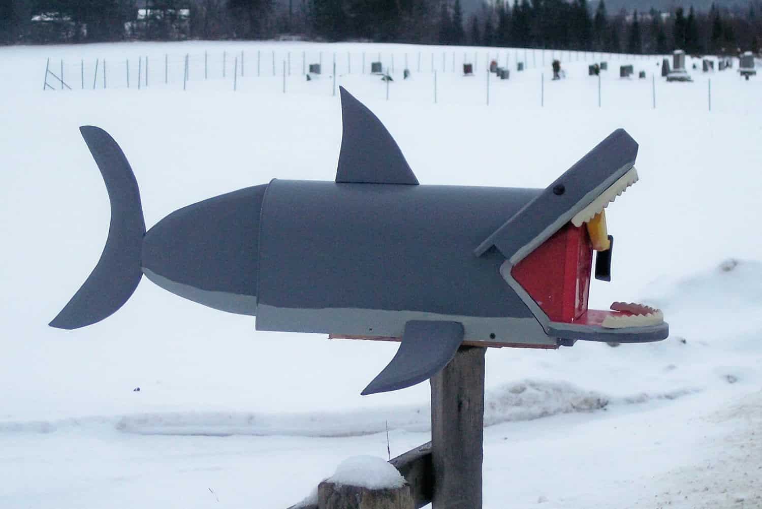 great white shark mailbox 20 Beautiful Handmade Mailbox Designs (10)