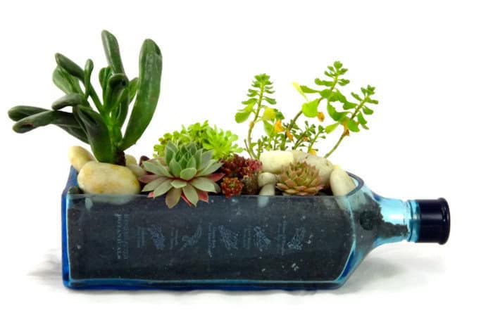 Bombay Sapphire Blue Gin Bottle Garden Succulent Planter 20 Creative Handmade Planter Designs (11)