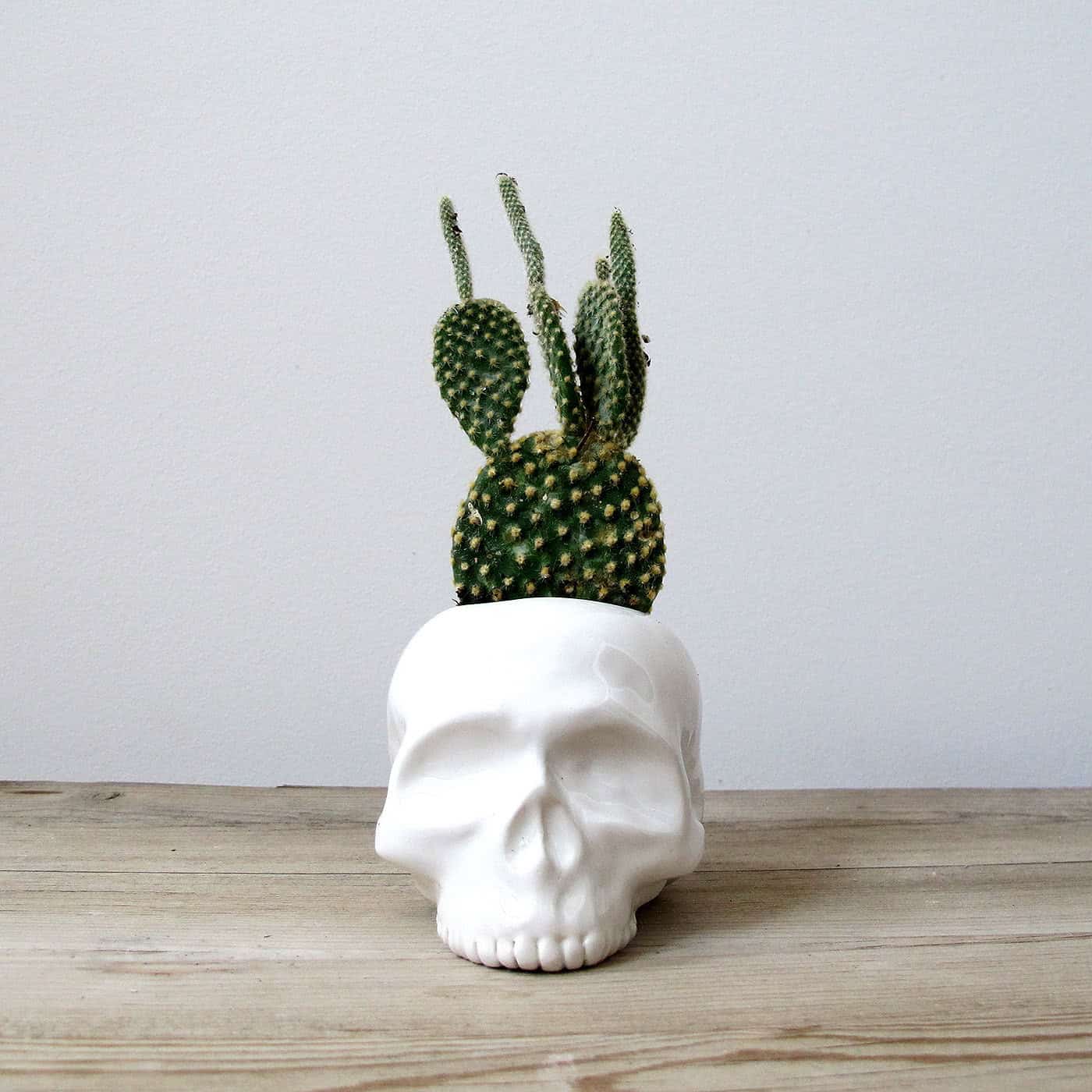 Ceramic Skull Planter 20 Creative Handmade Planter Designs (12)