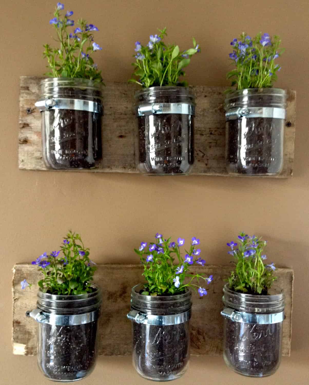 Mason Jar Wall Hanger Planter 20 Creative Handmade Planter Designs (14)